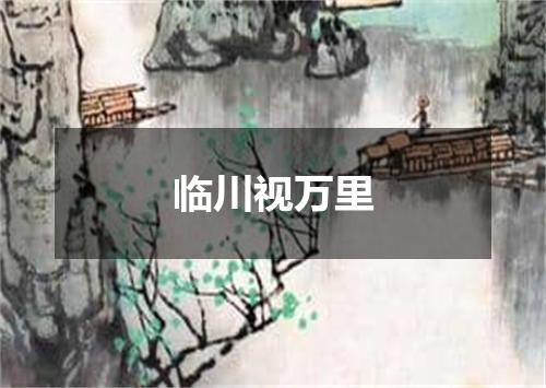 临川视万里