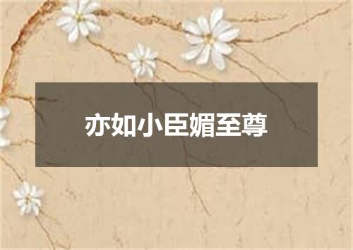亦如小臣媚至尊