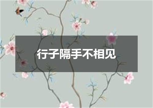 行子隔手不相见