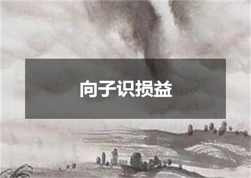 向子识损益