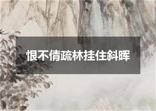 恨不倩疏林挂住斜晖