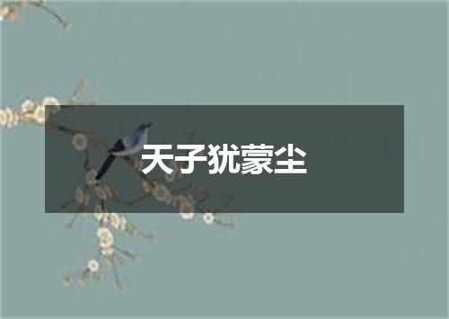 天子犹蒙尘