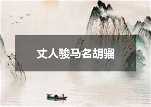 丈人骏马名胡骝