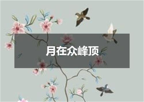 月在众峰顶