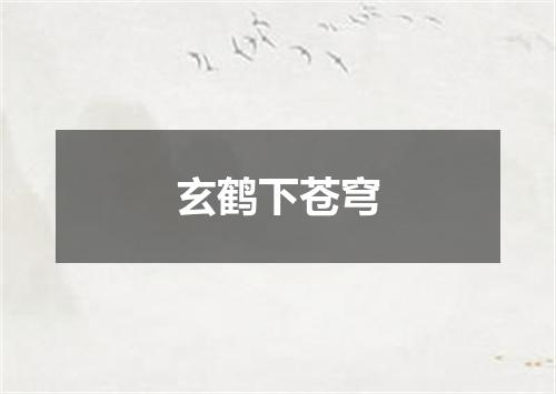 玄鹤下苍穹