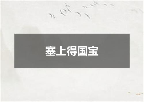 塞上得国宝