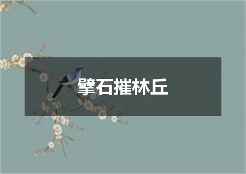擘石摧林丘
