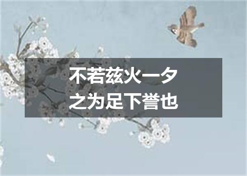 不若兹火一夕之为足下誉也