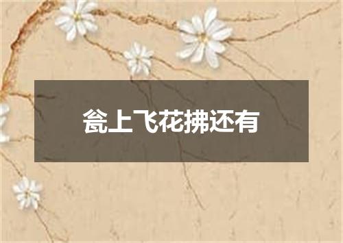 瓮上飞花拂还有