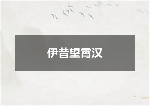 伊昔望霄汉