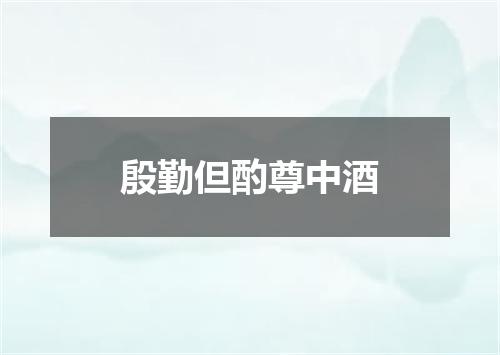 殷勤但酌尊中酒