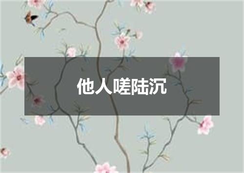 他人嗟陆沉