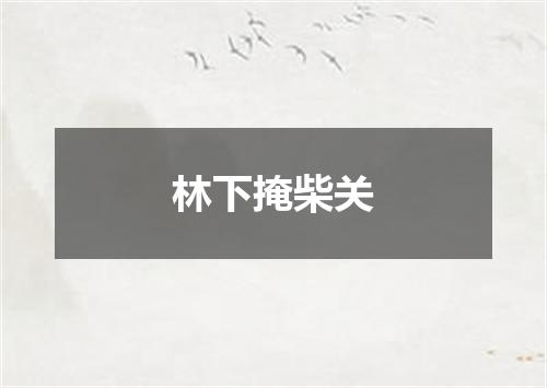 林下掩柴关