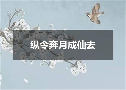 纵令奔月成仙去