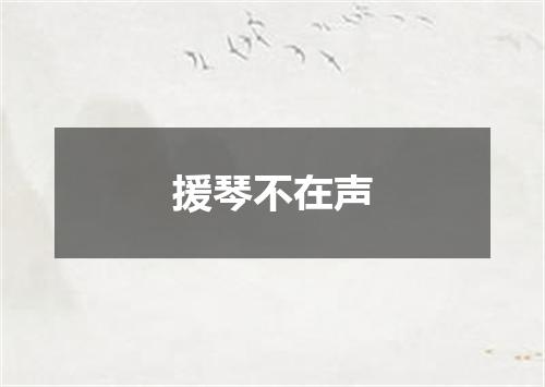 援琴不在声