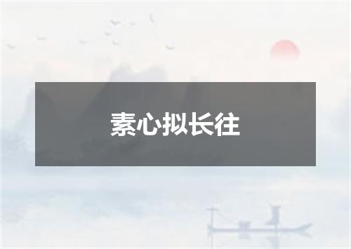 素心拟长往