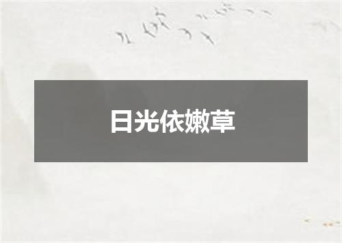 日光依嫩草