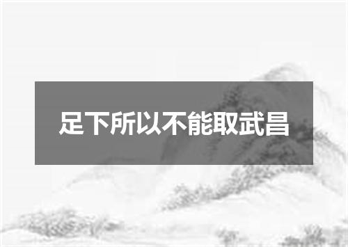 足下所以不能取武昌