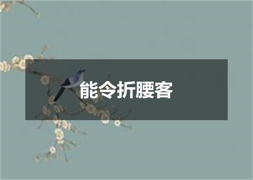 能令折腰客