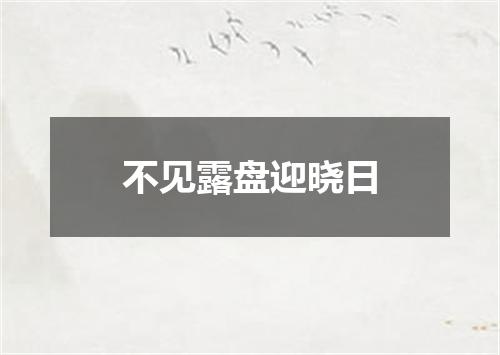 不见露盘迎晓日