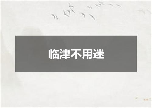 临津不用迷