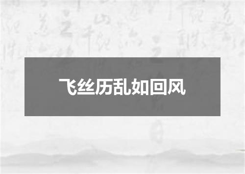 飞丝历乱如回风