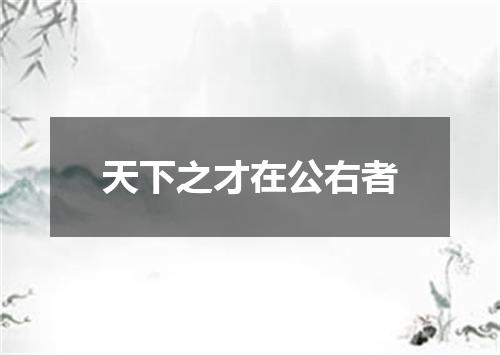 天下之才在公右者