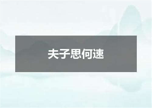 夫子思何速
