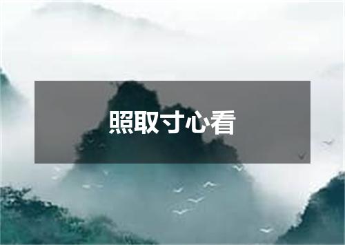 照取寸心看