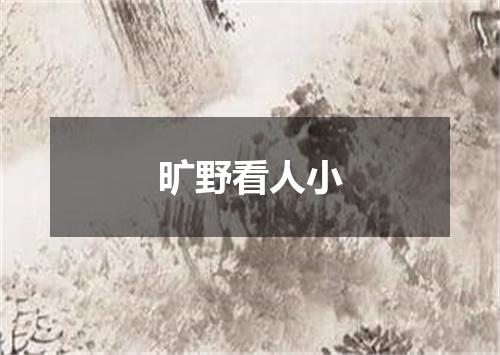 旷野看人小
