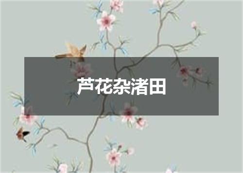 芦花杂渚田