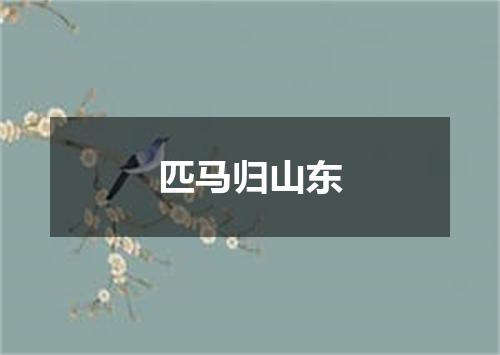 匹马归山东