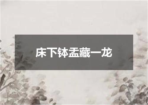 床下钵盂藏一龙