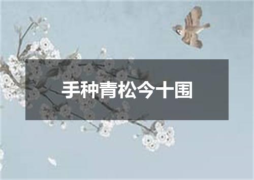 手种青松今十围