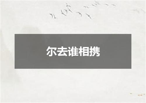 尔去谁相携