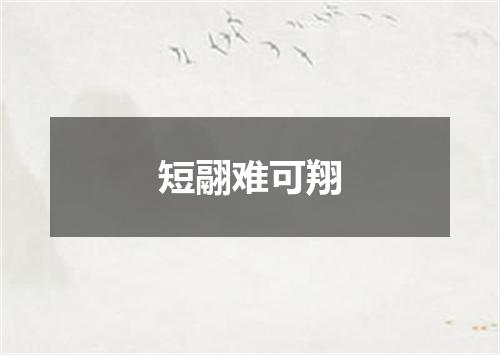 短翮难可翔