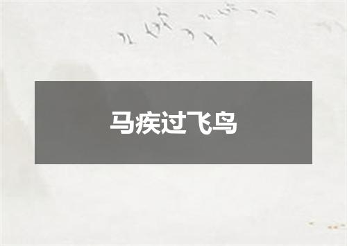 马疾过飞鸟