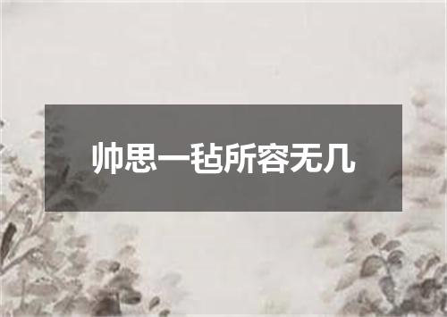 帅思一毡所容无几