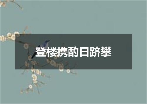 登楼携酌日跻攀