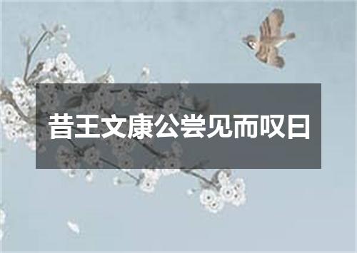 昔王文康公尝见而叹曰