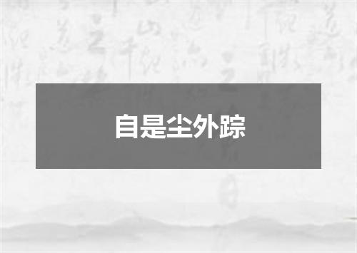 自是尘外踪