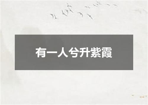 有一人兮升紫霞