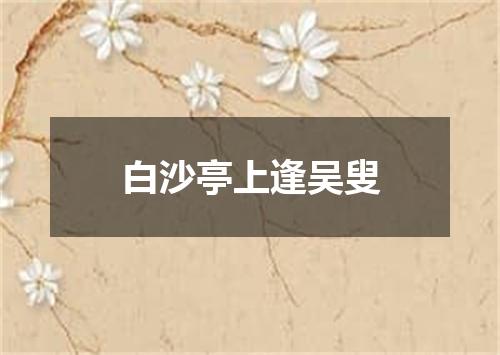 白沙亭上逢吴叟