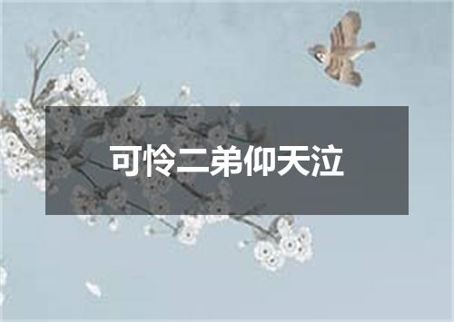 可怜二弟仰天泣