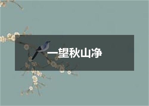 一望秋山净