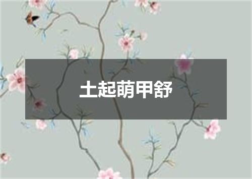 土起萌甲舒