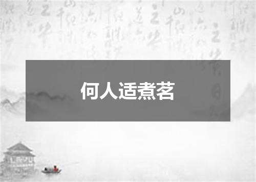 何人适煮茗