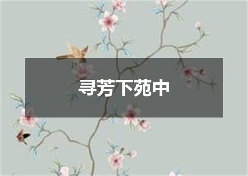 寻芳下苑中