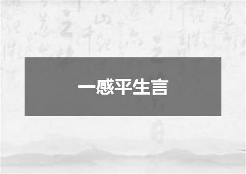 一感平生言