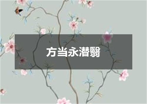 方当永潜翳